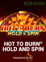 Hot To Burn Hold And Spin game thumbnail